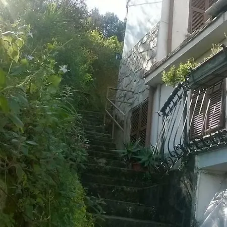 La Palma 斯培西亚