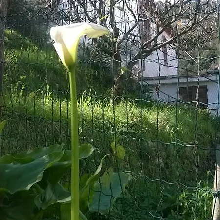 招待所 La Palma 斯培西亚
